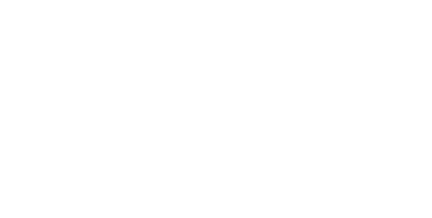 MOS — MultiCortex Optimization Stack